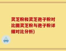 灵芝粉和灵芝孢子粉对比图灵芝粉与孢子粉详细对比分析)
