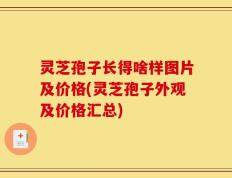 灵芝孢子长得啥样图片及价格(灵芝孢子外观及价格汇总)