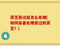 灵芝蒸过后怎么处理(如何妥善处理蒸过的灵芝？)