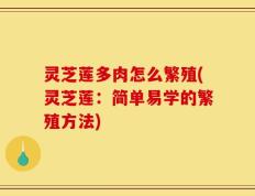 灵芝莲多肉怎么繁殖(灵芝莲：简单易学的繁殖方法)