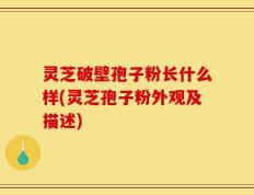 灵芝破壁孢子粉长什么样(灵芝孢子粉外观及描述)