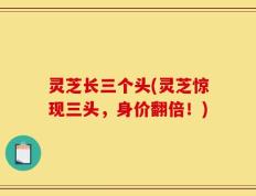 灵芝长三个头(灵芝惊现三头，身价翻倍！)