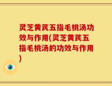灵芝黄芪五指毛桃汤功效与作用(灵芝黄芪五指毛桃汤的功效与作用)
