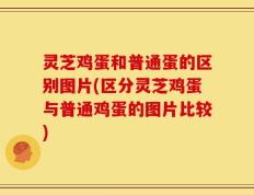 灵芝鸡蛋和普通蛋的区别图片(区分灵芝鸡蛋与普通鸡蛋的图片比较)