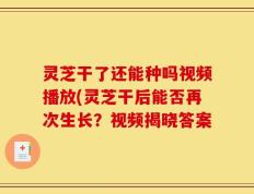 灵芝干了还能种吗视频播放(灵芝干后能否再次生长？视频揭晓答案