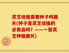 灵芝培植需要种子吗图片(种子是灵芝培植的必需品吗？——一张灵芝种植图片)