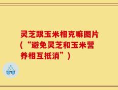 灵芝跟玉米相克嘛图片(“避免灵芝和玉米营养相互抵消”)