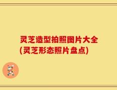 灵芝造型拍照图片大全(灵芝形态照片盘点)