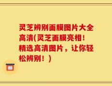 灵芝辨别面膜图片大全高清(灵芝面膜亮相！精选高清图片，让你轻松辨别！)