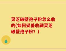 灵芝破壁孢子粉怎么收的(如何妥善收藏灵芝破壁孢子粉？)