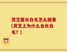 灵芝菌长白毛怎么回事(灵芝上为什么会长白毛？)