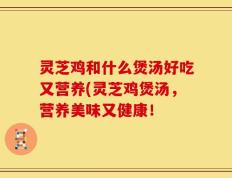 灵芝鸡和什么煲汤好吃又营养(灵芝鸡煲汤，营养美味又健康！
