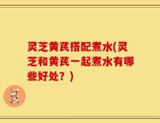 灵芝黄芪搭配煮水(灵芝和黄芪一起煮水有哪些好处？)