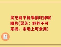 灵芝能不能采摘吃掉呢图片(灵芝：野外不可采摘，市场上可食用)