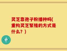 灵芝靠孢子粉播种吗(重构灵芝繁殖的方式是什么？)