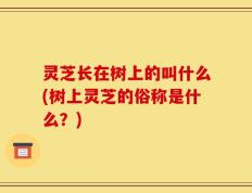 灵芝长在树上的叫什么(树上灵芝的俗称是什么？)