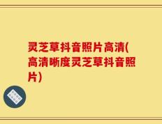灵芝草抖音照片高清(高清晰度灵芝草抖音照片)