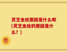 灵芝虫蛀原因是什么呢(灵芝虫蛀的原因是什么？)
