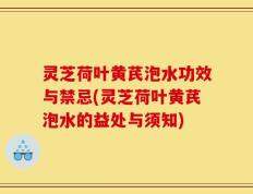 灵芝荷叶黄芪泡水功效与禁忌(灵芝荷叶黄芪泡水的益处与须知)
