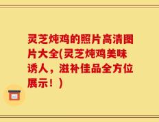 灵芝炖鸡的照片高清图片大全(灵芝炖鸡美味诱人，滋补佳品全方位展示！)