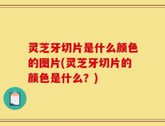 灵芝牙切片是什么颜色的图片(灵芝牙切片的颜色是什么？)