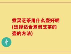 煮灵芝茶用什么壶好呢(选择适合煮灵芝茶的壶的方法)