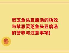 灵芝鱼头豆腐汤的功效与禁忌灵芝鱼头豆腐汤的营养与注意事项)