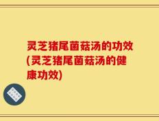 灵芝猪尾菌菇汤的功效(灵芝猪尾菌菇汤的健康功效)