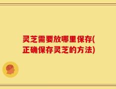 灵芝需要放哪里保存(正确保存灵芝的方法)