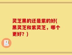 灵芝黑的还是紫的好(黑灵芝和紫灵芝，哪个更好？)