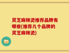 灵芝麻辣烫推荐品牌有哪些(推荐几个品牌的灵芝麻辣烫)