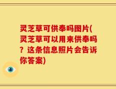 灵芝草可供奉吗图片(灵芝草可以用来供奉吗？这条信息照片会告诉你答案)