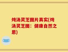炖汤灵芝图片真实(炖汤灵芝图：健康自然之恩)