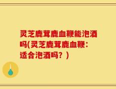 灵芝鹿茸鹿血鞭能泡酒吗(灵芝鹿茸鹿血鞭：适合泡酒吗？)