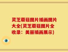 灵芝蘑菇图片插画图片大全(灵芝蘑菇图片全收录：美丽插画展示)