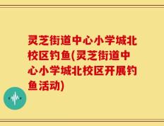 灵芝街道中心小学城北校区钓鱼(灵芝街道中心小学城北校区开展钓鱼活动)