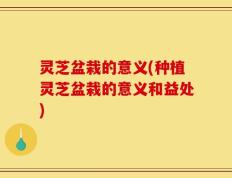 灵芝盆栽的意义(种植灵芝盆栽的意义和益处)