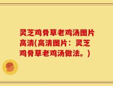 灵芝鸡骨草老鸡汤图片高清(高清图片：灵芝鸡骨草老鸡汤做法。)
