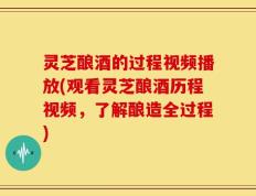灵芝酿酒的过程视频播放(观看灵芝酿酒历程视频，了解酿造全过程)