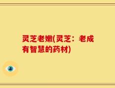 灵芝老嫩(灵芝：老成有智慧的药材)