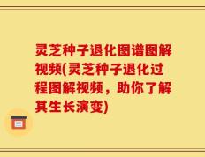 灵芝种子退化图谱图解视频(灵芝种子退化过程图解视频，助你了解其生长演变)