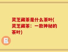 灵芝藏茶是什么茶叶(灵芝藏茶：一款神秘的茶叶)
