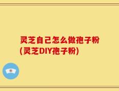 灵芝自己怎么做孢子粉(灵芝DIY孢子粉)