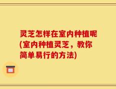 灵芝怎样在室内种植呢(室内种植灵芝，教你简单易行的方法)