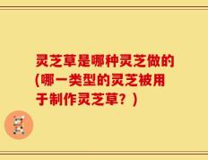 灵芝草是哪种灵芝做的(哪一类型的灵芝被用于制作灵芝草？)