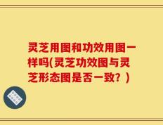 灵芝用图和功效用图一样吗(灵芝功效图与灵芝形态图是否一致？)