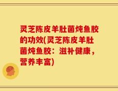 灵芝陈皮羊肚菌炖鱼胶的功效(灵芝陈皮羊肚菌炖鱼胶：滋补健康，营养丰富)