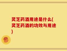 灵芝药酒用途是什么(灵芝药酒的功效与用途)