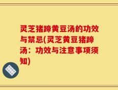 灵芝猪蹄黄豆汤的功效与禁忌(灵芝黄豆猪蹄汤：功效与注意事项须知)