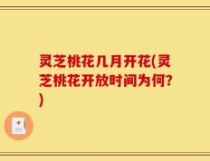 灵芝桃花几月开花(灵芝桃花开放时间为何？)
